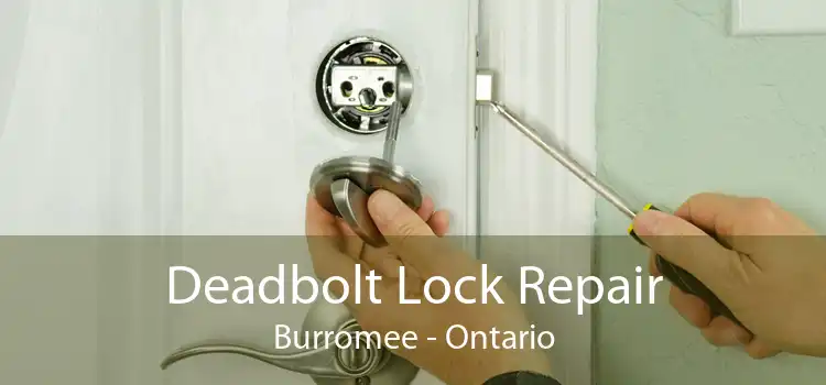 Deadbolt Lock Repair Burromee - Ontario
