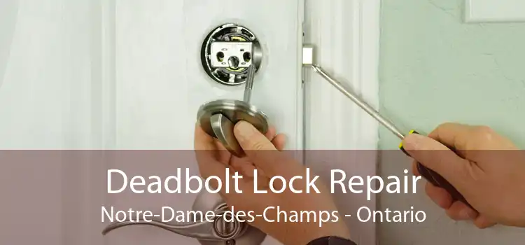 Deadbolt Lock Repair Notre-Dame-des-Champs - Ontario