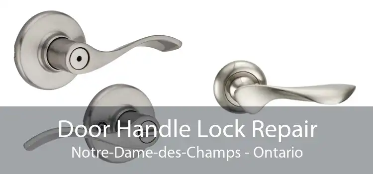 Door Handle Lock Repair Notre-Dame-des-Champs - Ontario