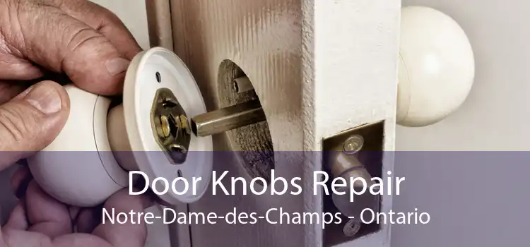 Door Knobs Repair Notre-Dame-des-Champs - Ontario