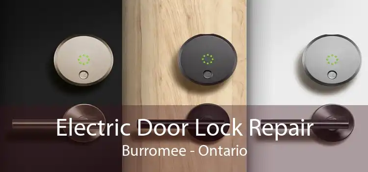 Electric Door Lock Repair Burromee - Ontario