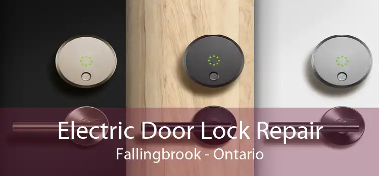 Electric Door Lock Repair Fallingbrook - Ontario