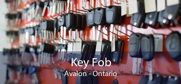 Key Fob Avalon - Ontario