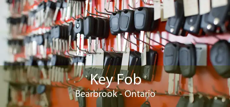 Key Fob Bearbrook - Ontario