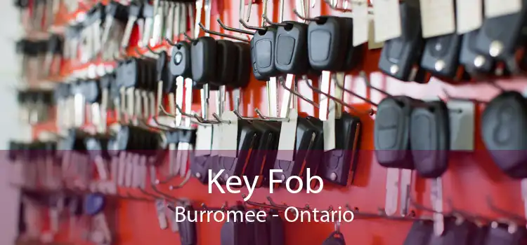 Key Fob Burromee - Ontario