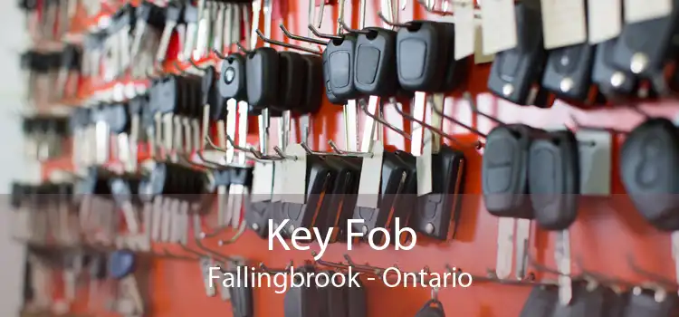 Key Fob Fallingbrook - Ontario