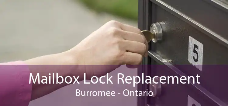 Mailbox Lock Replacement Burromee - Ontario