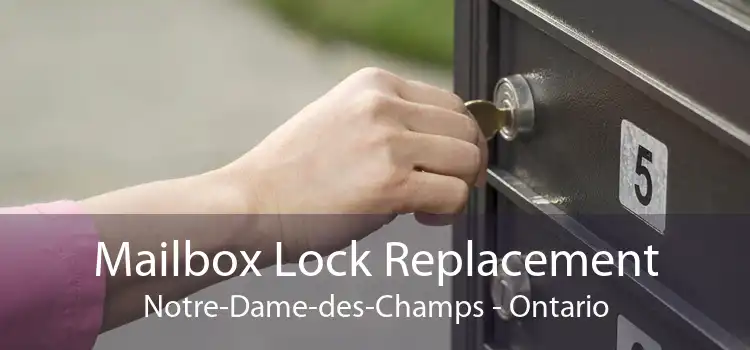 Mailbox Lock Replacement Notre-Dame-des-Champs - Ontario