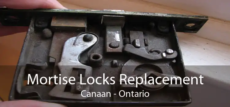 Mortise Locks Replacement Canaan - Ontario