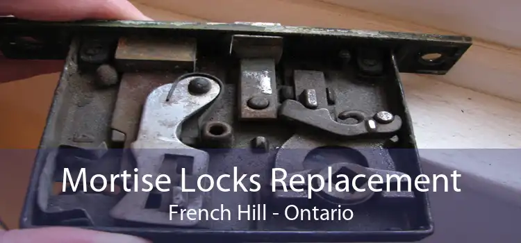 Mortise Locks Replacement French Hill - Ontario
