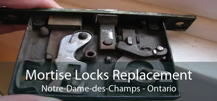 Mortise Locks Replacement Notre-Dame-des-Champs - Ontario