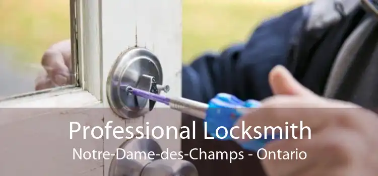 Professional Locksmith Notre-Dame-des-Champs - Ontario